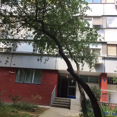 Vortexluxapatman ベオグラード